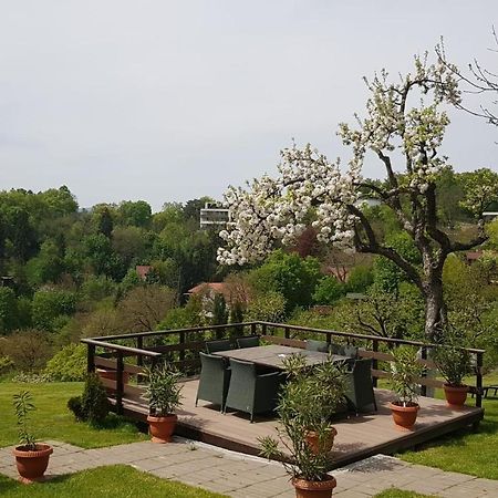 Pensiunea Toscana Брашов Екстериор снимка